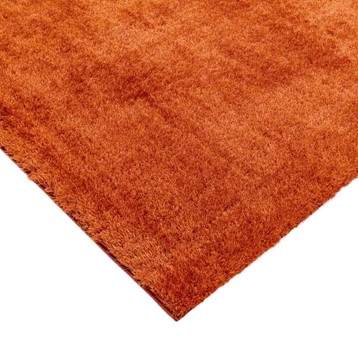 Payton Orange Rug Image