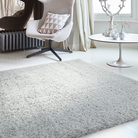 Payton Silver Rug primary image