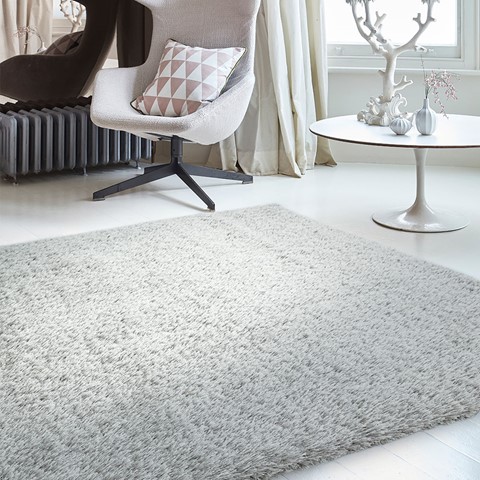 Payton Silver Rug